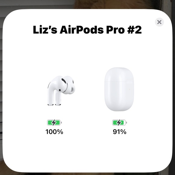 apple airpods pro 1st gen with magsafe charging case - Picture 2 of 6